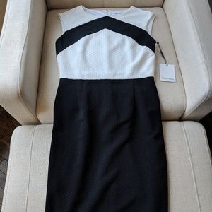 NEW Calvin Klein black & white dress (size 4 tags)